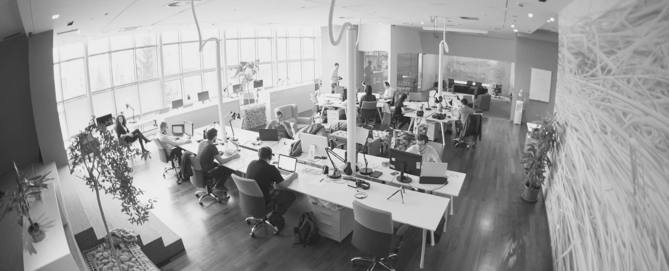 Specialisti nell'insegnamento delle strategie di link building